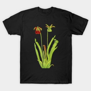 Sweet Pitcherplant - Sarracenia Rubra- Walcott - Botanical Illustration T-Shirt